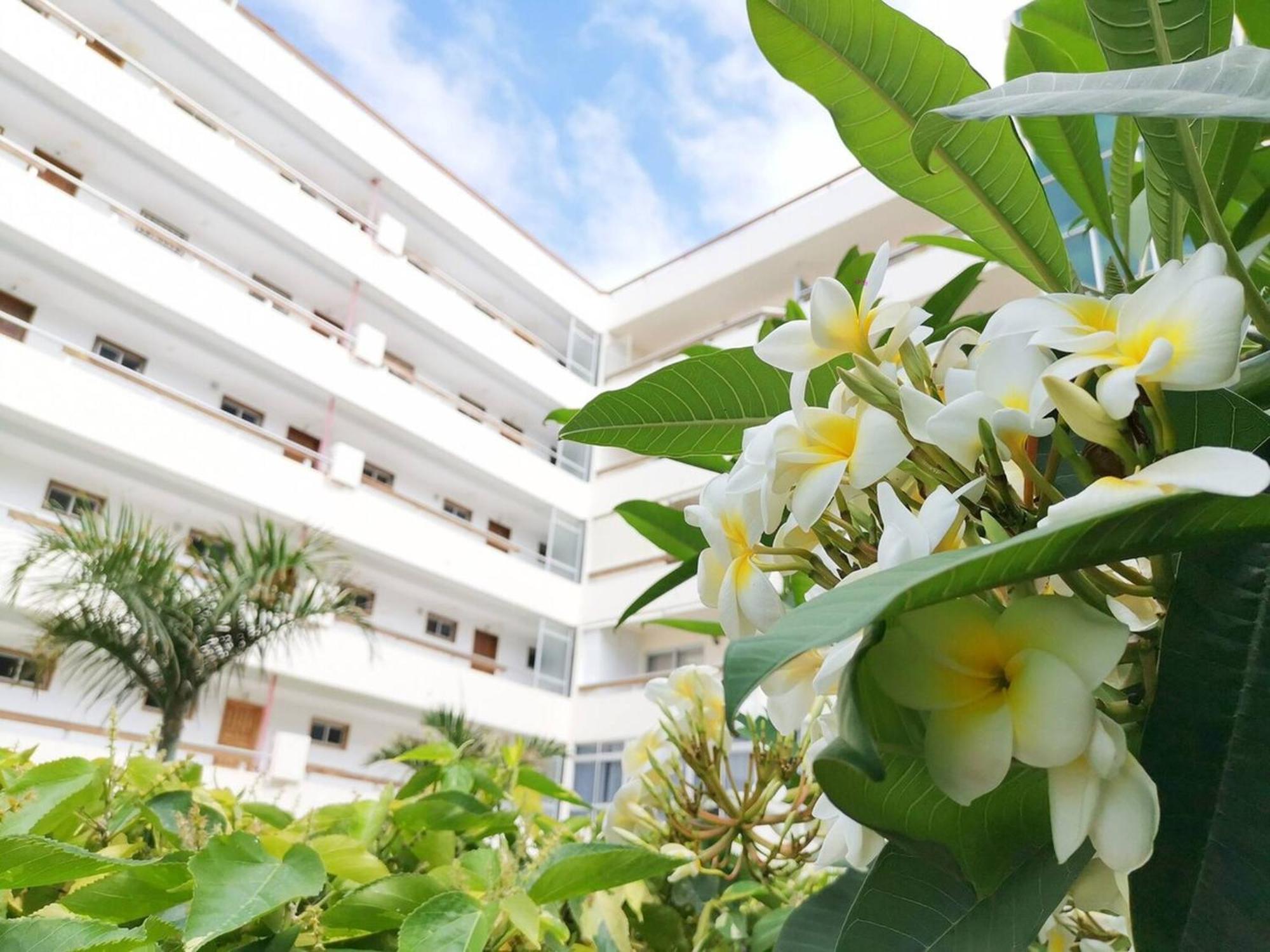 Las Camelias 215 By Pride Holiday Rentals ماسبالوماس المظهر الخارجي الصورة